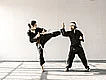 Artes marciales en Mexico